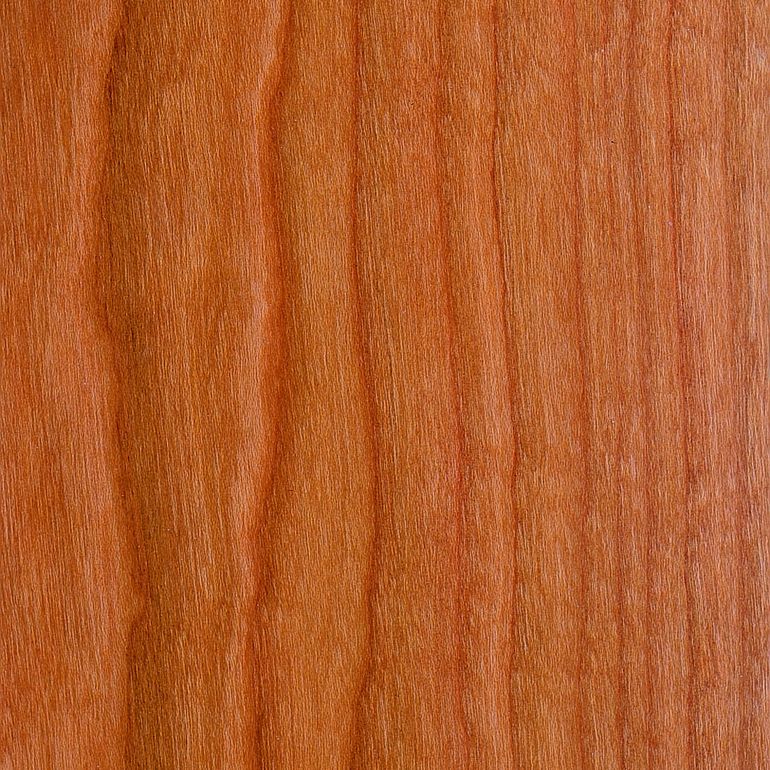 Cantonera barnizada (240 cm x 34 mm x 34 mm, Madera de abeto